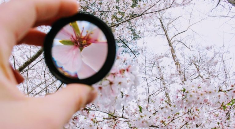 Conteaza felul in care am fost adusi la mantuire?