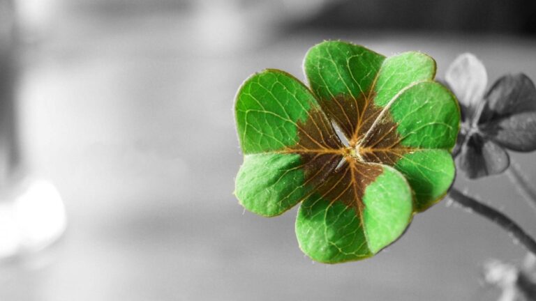 Dumnezeu este suveran peste tot si peste toate